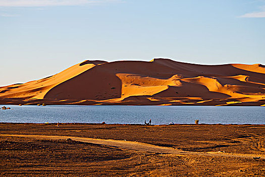 阳光,沙漠,摩洛哥,沙子,湖,沙丘