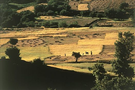 图像,大阿特拉斯山