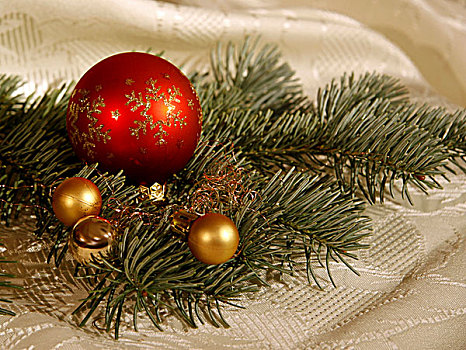 圣诞节饰物,松树,枝条