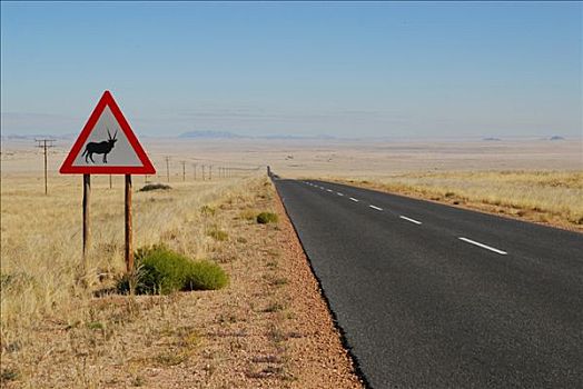 标识,警告,南非大羚羊,羚羊,靠近,纳米比亚,非洲