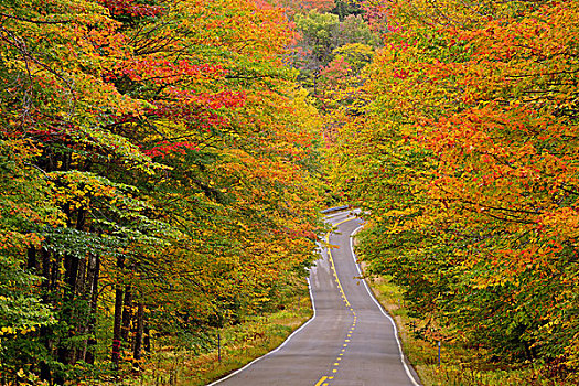 道路,怀特山国家森林,新罕布什尔