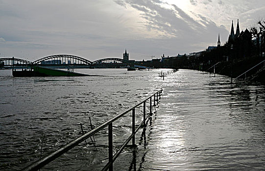 洪水,一月,莱茵河,北莱茵威斯特伐利亚,德国,欧洲