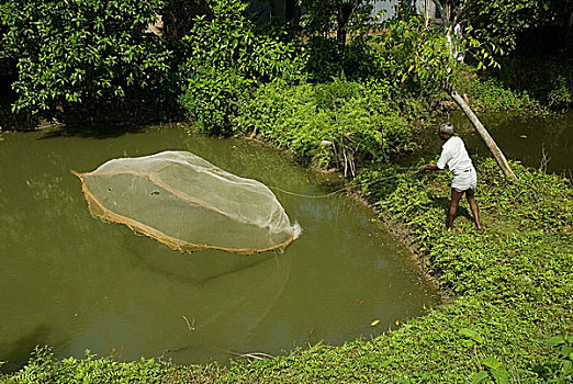 渔民,网,乡村,孟加拉,九月,2007年
