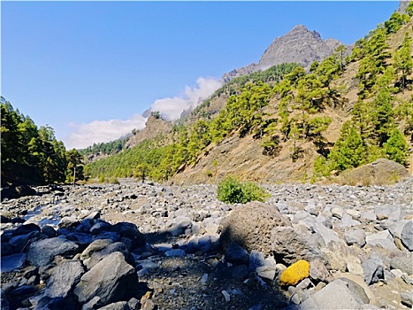 火山口,国家公园,帕尔玛