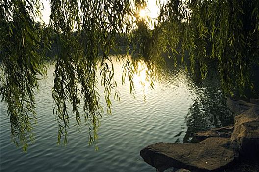 日落,湖,地面,北京,大学,中国