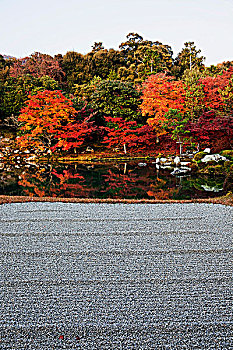 秋叶,京都,日本