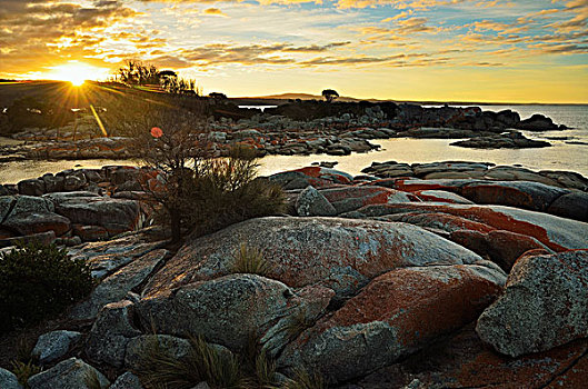 岩石海岸,日落,火焰湾,塔斯马尼亚,澳大利亚