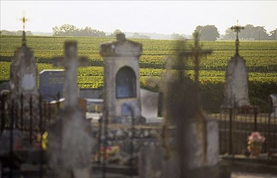 墓地,靠近,葡萄园,梅克多葡萄酒,法国