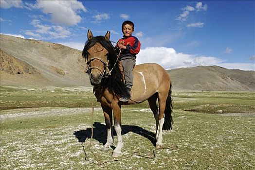 蒙古人,男孩,坐,马,哈萨克斯坦,蒙古,亚洲