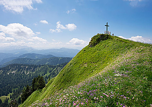 顶峰,十字架,山,花,齐姆高,阿尔卑斯山,上巴伐利亚,巴伐利亚,德国,欧洲