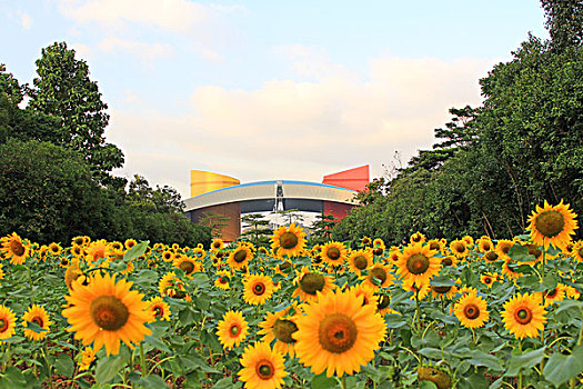 深圳市民中心