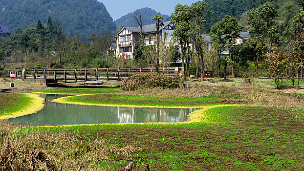 重庆万盛黑山谷风景区湿地公园春季风光