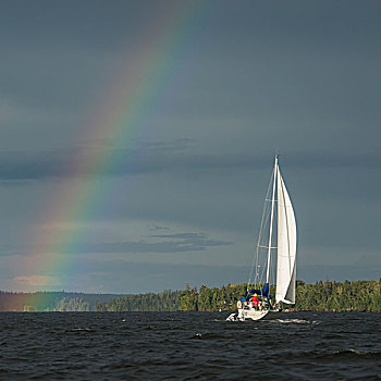 彩虹,上方,湖,帆船,木头,安大略省,加拿大