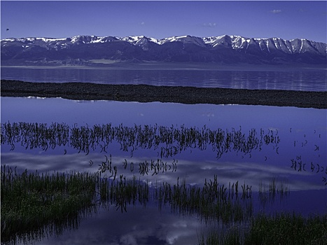 风景,中国,伊犁