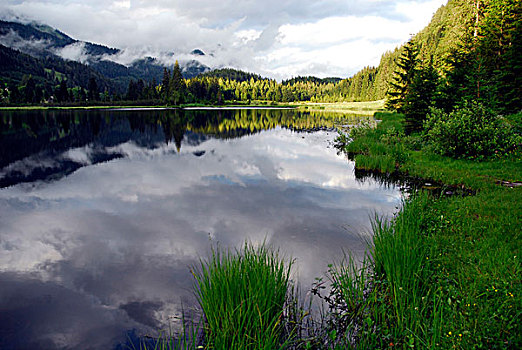 反射,湖,自然,保存,区域,风景,萨尔茨卡莫古特,施蒂里亚,阿尔卑斯山,奥地利,欧洲