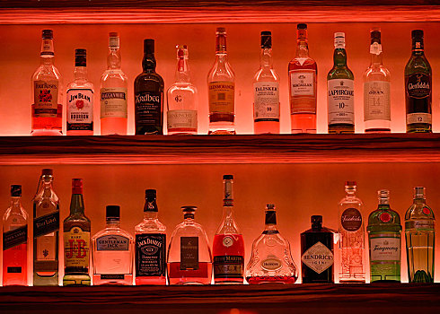 多样,威士忌酒,瓶子,架子,酒吧,光亮,红色,北莱茵威斯特伐利亚,德国,欧洲