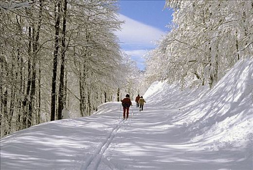 越野滑雪