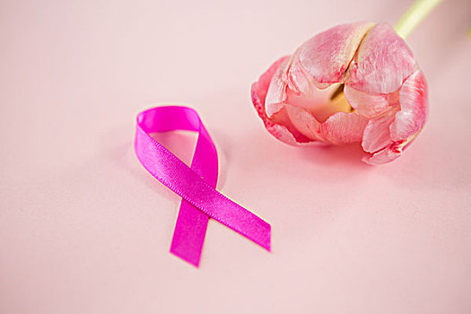 俯拍,乳腺癌,意识,带,郁金香,粉色背景