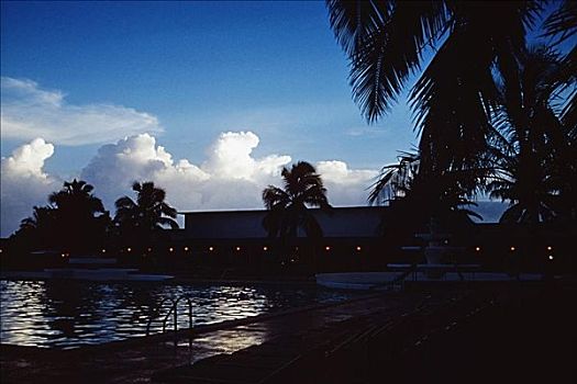 棕榈树,剪影,暮色天空,巴哈马