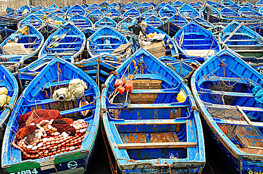 特色,蓝色,渔船,港口,苏维拉,摩洛哥,非洲