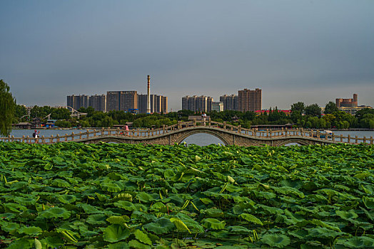 济南护城河