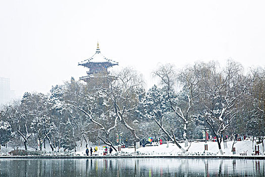 雪景