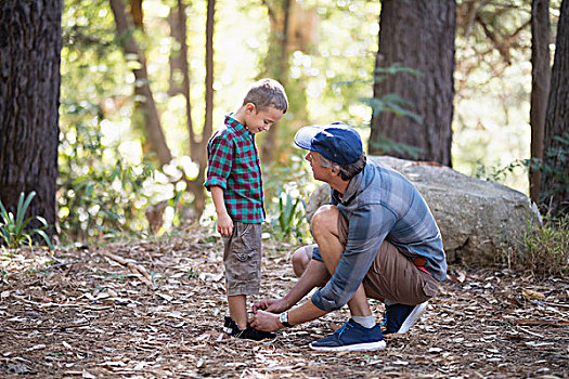 父亲,系鞋带,儿子,树林,远足