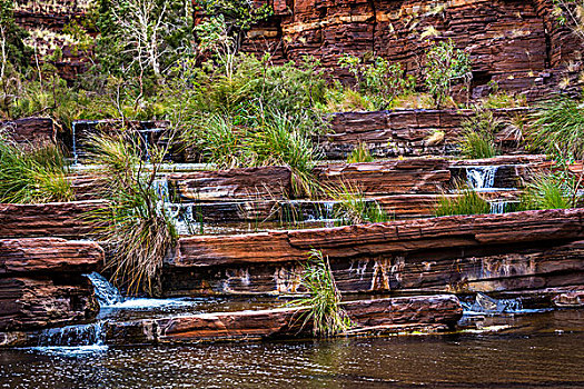 峡谷,卡瑞吉尼国家公园,西澳大利亚州,澳大利亚