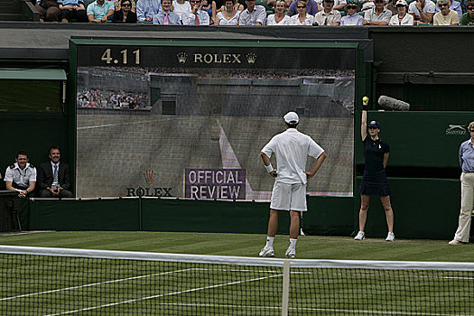 英格兰,伦敦,温布尔登,运动员,察看,比赛,网球,冠军,2008年