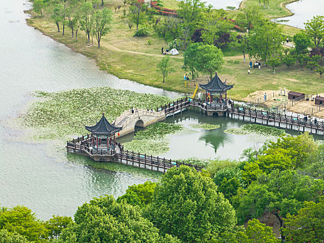 江苏东海,湿地公园,乐享假期