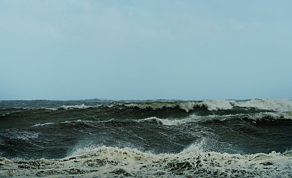 大,波浪,碰撞,荷兰,岸边,风暴,白天,鹿特丹