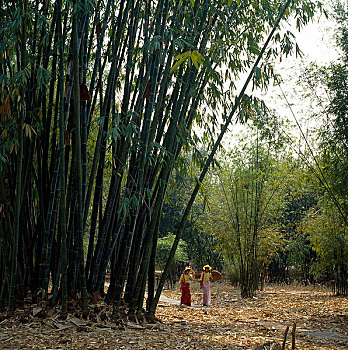 在竹林中行走的两个西双版纳女人