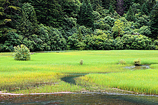 四川九寨沟的海子