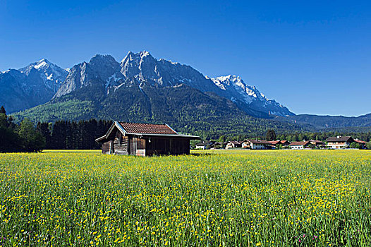 山,楚格峰,靠近,巴伐利亚阿尔卑斯山,上巴伐利亚,巴伐利亚,德国,欧洲