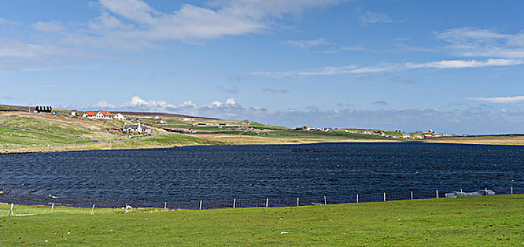 风景,靠近,岛屿,叫,设得兰群岛,苏格兰,大幅,尺寸