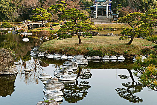 树,反射,安静,水,湖,花园,熊本,日本
