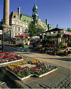 雅克卡特尔广场,市政厅,蒙特利尔老城,魁北克,加拿大