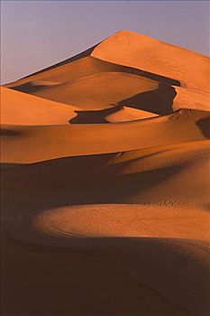 沙丘,阿尔及利亚,非洲