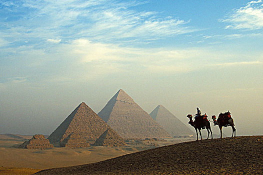 埃及,吉萨金字塔,骆驼,驾驶员,金字塔,复杂,高原,沙漠