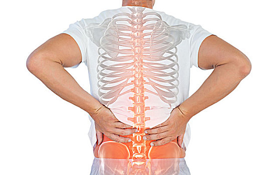 数码合成,突显,脊椎,男人,背痛,白色背景