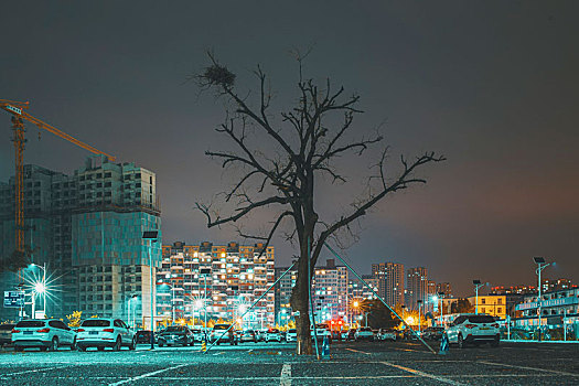 北京沙河恒大城夜间停车场和一棵树
