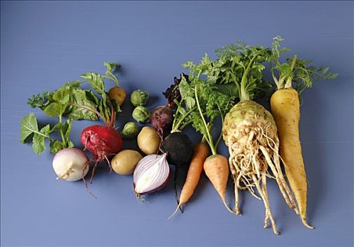 冬季蔬菜,静物,根菜类,洋葱,抱子甘蓝