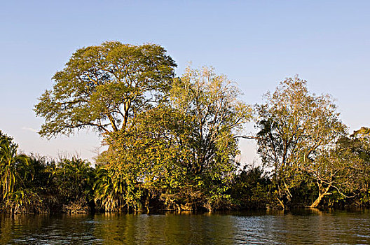 河,卡富埃国家公园,赞比亚,非洲