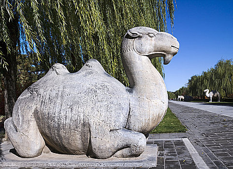 骆驼,雕塑,墓地,神道,十三陵,北京,中国