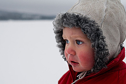 头像,小,男孩,冬天,瑞典