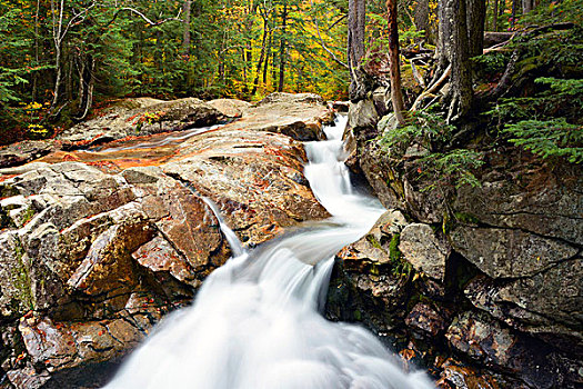 秋天,河,弗兰科尼亚山峡州立公园,新罕布什尔,美国