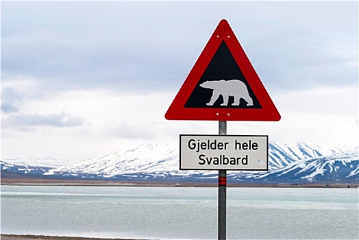 北极熊,警告标识