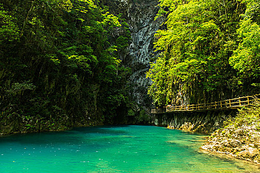 自燃山水