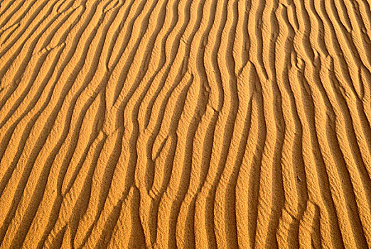 表面,沙丘,阿尔及利亚,撒哈拉沙漠,北非