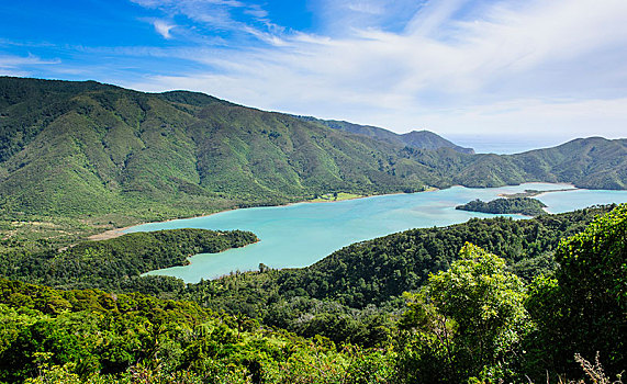 风景,上方,马尔伯勒,声音,南岛,新西兰,大洋洲